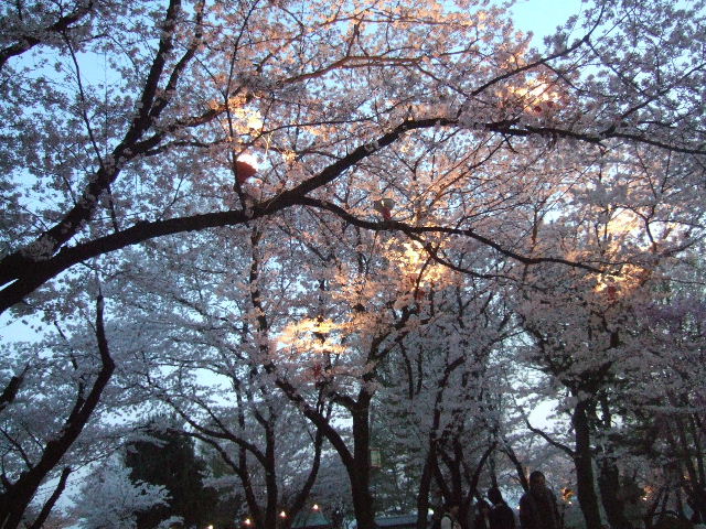 ファイル 7-3.jpg